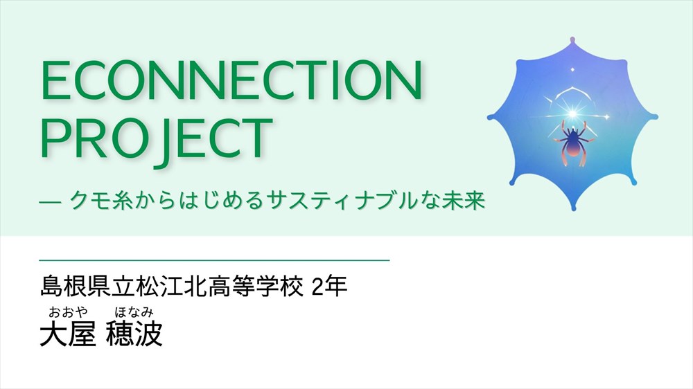 ECONNECTION PROJECT